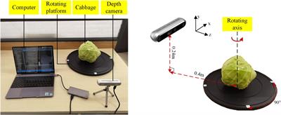 Surface Defect Detection of Cabbage Based on Curvature Features of 3D Point Cloud